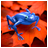 Blue Frog icon