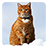 Cat in the Snow Live Wallpaper 3.0