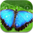 Butterfly Password Lock Screen icon