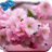 Cherry Flower icon