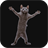 Dancing Cat icon