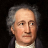 Die Wahlverwandtschaften - Johann Wolfgang Goethe icon