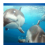Dolphin LWP icon