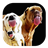 Dogs Lick Screen Live Wallpaper icon