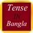 Tense In Bangla icon