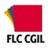FLC CGIL APK Download