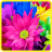 Flowers Photo Wallpaper icon