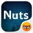 Nuts Live Font icon