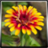 Garden Plants Growing Guide icon