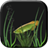 Green Fish Live Wallpaper icon