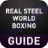 guiderealsteelworldboxing icon