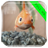 Descargar Homemade Fish Live Wallpaper