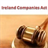 Ireland Companies Act icon