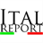 ITALREPORT icon