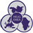 EMEA 2015 icon