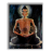 Life Of Buddha FREE APK Download