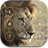 Lion Password Lock Screen icon