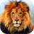 Lion Roaring version 1.1