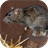 Mouse and Rat sounds icon