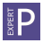 Project Expert icon