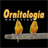 Ornitología Práctica 1.1