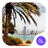 The palm trees Theme APK Download