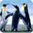 Penguin Live Wallpaper APK Download