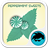 Peppermint Sweets Keyboard icon