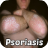 Psoriasis Treatment icon