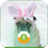 Pug Bunny Wall & Lock icon
