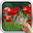 Red Poppies 3D Wallpaper icon