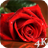 Red Rose 4K Live Wallpaper icon