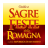 Sagre in Romagna icon
