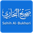 Sahih Bukhari version 2.4