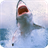 Sharks Wallpaper icon