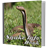 Snake Info Book icon