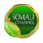 somalichannel icon