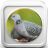 Doves Sounds version 3.0.69