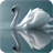 Swan Pack 2 Live Wallpaper icon