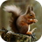 Squirrel Sounds icon