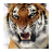 Descargar Tiger Wallpaper