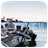 Trieste Widget icon