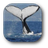 Ballenas icon