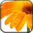 Yellow Flowers Live Wallpaper icon