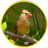 3D Birds Parallax LWP icon