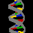 3D DNA Model 1.0