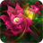 3D Flower icon