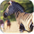 African Animals Live Wallpaper icon
