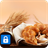Applock Theme Bread icon