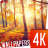 Autumn wallpapers 4k icon